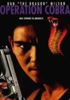  Инферно смотреть онлайн (1997) 