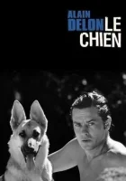  Пес смотреть онлайн (1962) 